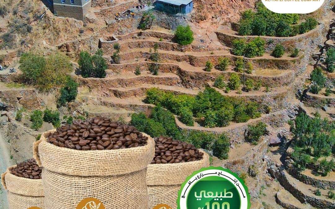 الإعلان عن تدشين الموقع الرسمي للبن اليافعي على شبكة الإنترنت