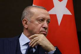 ردوغان: انضمام السويد وفنلندا إلى عضوية الحلف الأطلسي سيكون “خطأ”