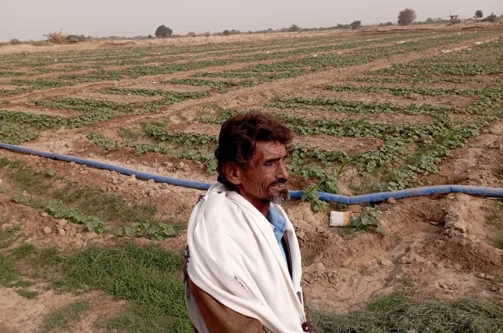 رئيس الإدارة الاقتصادية بانتقالي أحور يقوم بنزول ميداني الى عدد من المزارع في المديرية