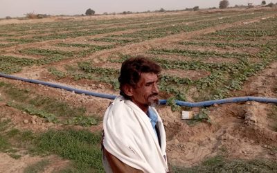 رئيس الإدارة الاقتصادية بانتقالي أحور يقوم بنزول ميداني الى عدد من المزارع في المديرية