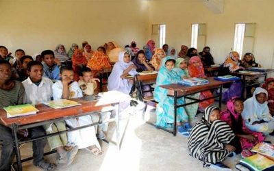 اعتماد العربية لغة جامعة للمنظومة التربوية في موريتانيا