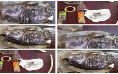 القبض على 3 مدمنين متلبسين بحيازة حشيش في الشحر