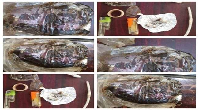 القبض على 3 مدمنين متلبسين بحيازة حشيش في الشحر