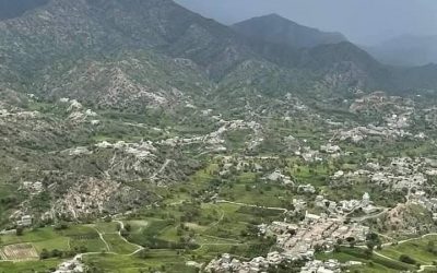 حفل  زواج متميز بمنطقة الصفأة بيافع رصد مْنع فيه إطلاق الأعيرة النارية