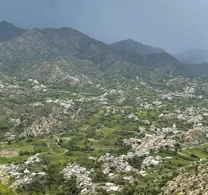 حفل  زواج متميز بمنطقة الصفأة بيافع رصد مْنع فيه إطلاق الأعيرة النارية