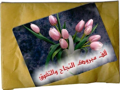 مدير عام مديرية خنفر “اليوسفي” يبعث رسالة تهنئة   للطالبة ماريه أحمد  الكلدي لحصولها على المركز الثالث في الجمهورية للقسم الأدبي