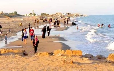 بإشراف قيادة الانتقالي تواصل عمليات البحث عن المفقودين بساحل الشيخ عبدالله
