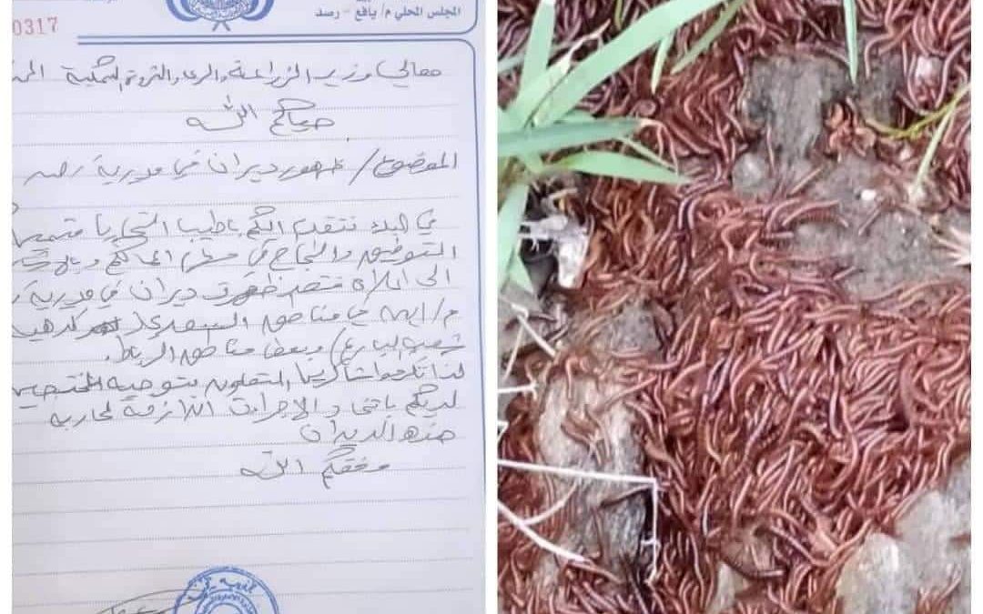 وزير الزراعة يكلف فريقا فنيا للنزول إلى يافع رصد لمكافحة الوباء المنتشر
