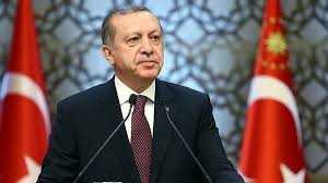 إردوغان يعلن أن تركيا ستبدأ دفع ثمن جزء من الغاز الروسي بالروبل