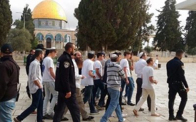مستوطنون يقتحمون المسجد الأقصى المبارك