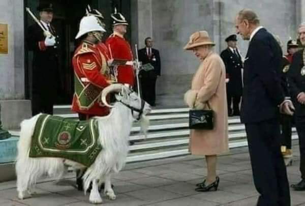من هو العقيد ويليام؟