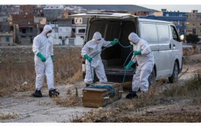 الصحة الباكستانية تسجل 371 حالة إصابة بفيروس كورونا