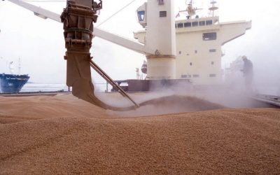 موسكو: توريد الحبوب للشرق الأوسط لم ينقطع