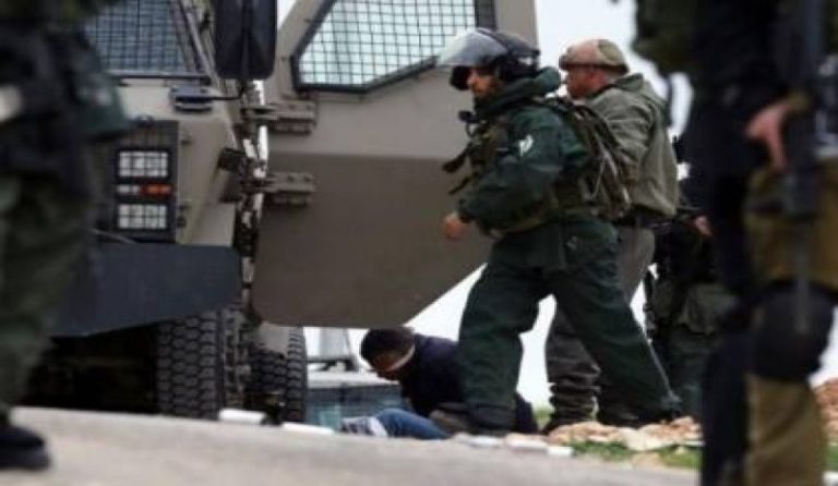 الاحتلال الصهيوني يعتقل 10 فلسطينيين من مدن الضفة