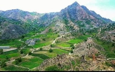 لجنة صيانة طريق الفقيد منصور نصر شائف تفتح المضاريف المقدمة للمناقصة المعلنة وتتعاقد مع أفضل العروض