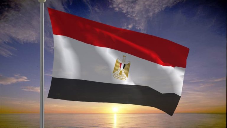 قانون اللجوء الجديد في مصر يحدد نقاط اسقاط حق لجوء الأجانب في مصر