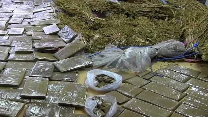 قيمتها 64 مليون دولار.. الشرطة الإسبانية تضبط أكبر كمية ماريجوانا في العالم
