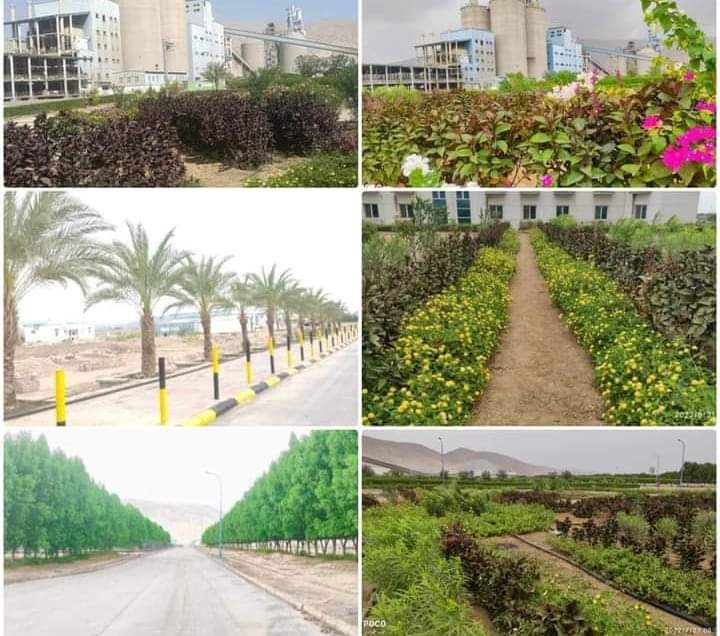 مساحات ومواقع مصنع الوحدة للأسمنت.. مسطحات نباتية جميلة  وحدائق غناء تسر الناظر