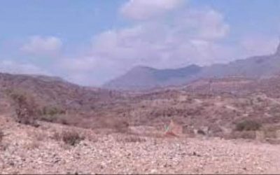 رئيس عمليات اللواء الخامس يشيد بقدرات القوات الجنوبية في جبهة كرش