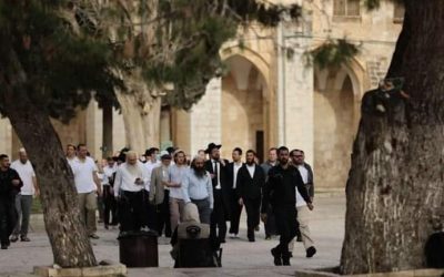 مستوطنون يقتحمون باحات الأقصى بحماية مشددة من شرطة الاحتلال