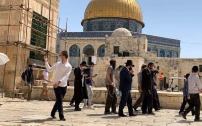 مستوطنون متطرفون يقتحمون المسجد الأقصى