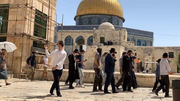 مستوطنون متطرفون يقتحمون المسجد الأقصى