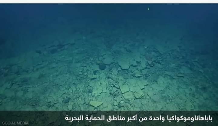 بعثة استكشافية في شمال جزر هاوي تكتشف طريق مرصوف تحت اعماق المحيط الهادي