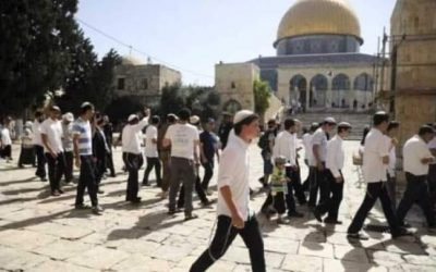 عشرات المستوطنين المتطرفين يقتحمون الأقصى