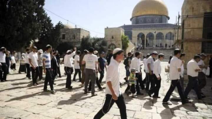 عشرات المستوطنين المتطرفين يقتحمون الأقصى