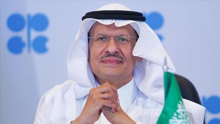 بن سلمان .. مجموعة أوبك لا تتدخل في السياسة
