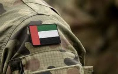 قرقاش: جهود الإمارات تجاه تعزيز التوافق والإستقرار العربي لن تتوقف