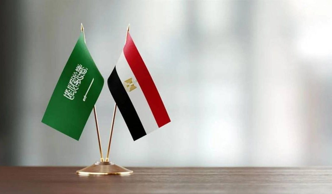 في بيان مشترك.. مصر والسعودية ترفضان أي محاولة للتدخل في شؤون الدول العربية