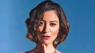 حبس الفنانة المصرية منة شلبي سنة مع ايقاف التنفيذ وتغريمها 10 آلاف جنيه