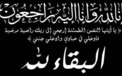 الوكيل الشبحي رئيس القطاع الصحي الجنوبي يعزي مدير عام الشؤون القانونية بوزارة الصحة العامة والسكان