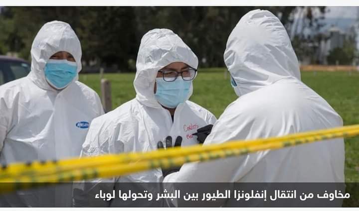 بعد تطور “مقلق”..مخاوف من تحول إنفلونزا الطيور لـ”وباء بشري”
