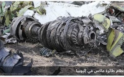 هيئة أميركية: الطيور سبب تحطم “بوينغ 737 ماكس” في أديس أبابا