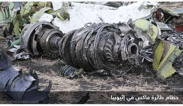هيئة أميركية: الطيور سبب تحطم “بوينغ 737 ماكس” في أديس أبابا