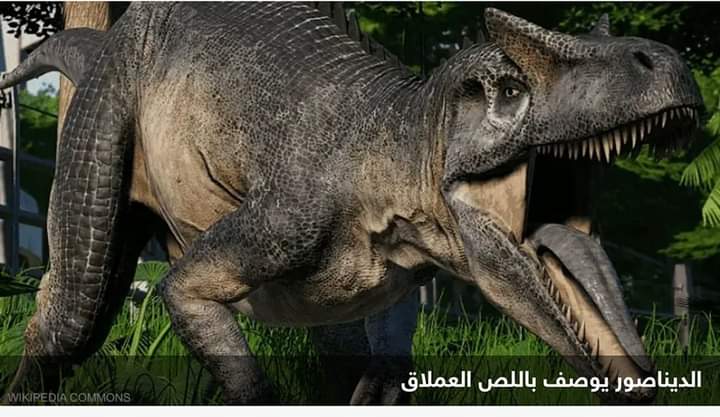 عاش في عصر غابر.. العثور على حفرية لديناصور “اللص العملاق”