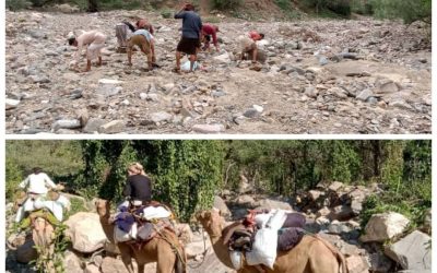 تكليف لجنة أهلية لحشد الجهود الرسمية والخيرية لصيانة طريق امهدارة بيافع