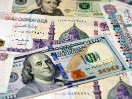 الحكومة المصرية: أزمة الدولار في طريقها للحل