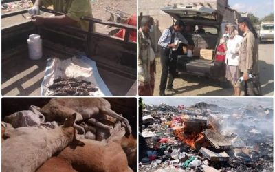 قسم صحة البيئة بمكتب الأشغال العامة خنفر ينفذ حملة للقضاء على الكلاب الضالة والمريضة بمنطقة الكود