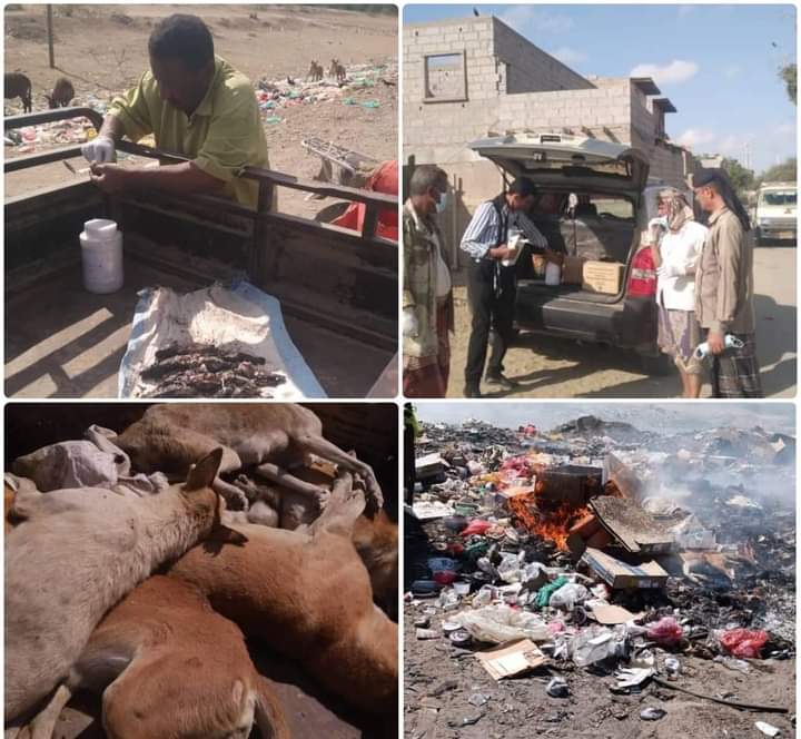 قسم صحة البيئة بمكتب الأشغال العامة خنفر ينفذ حملة للقضاء على الكلاب الضالة والمريضة بمنطقة الكود