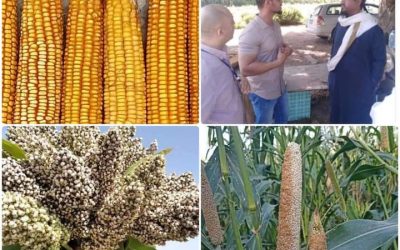 مديرعام خنفر يلتقي ممثلي الصليب الأحمر الدولي ويزور  مركز الأبحاث الكود   الزراعي وإدارة مشاتل الفاكهة