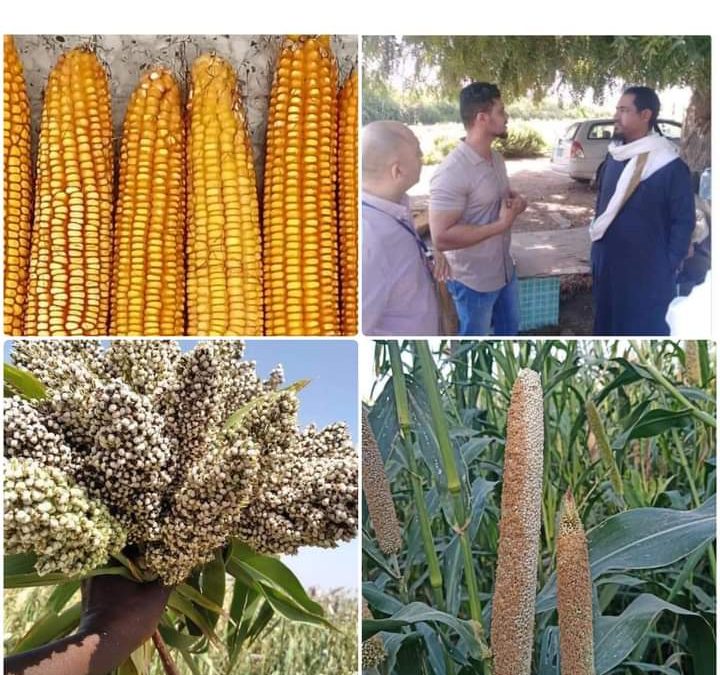 مديرعام خنفر يلتقي ممثلي الصليب الأحمر الدولي ويزور  مركز الأبحاث الكود   الزراعي وإدارة مشاتل الفاكهة