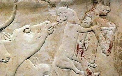 لوحةفنية مصرية  لاتقدر بثمن في متاحف الغرب