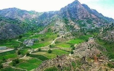 فتح مظاريف المناقصة الجزئية في المقطع رقم 3 في مشروع طريق الفقيد منصور نصر شايف بيافع