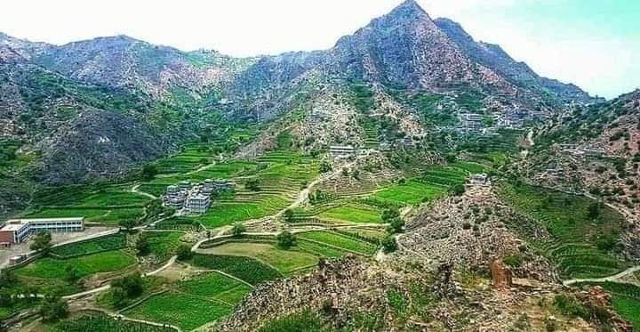 فتح مظاريف المناقصة الجزئية في المقطع رقم 3 في مشروع طريق الفقيد منصور نصر شايف بيافع