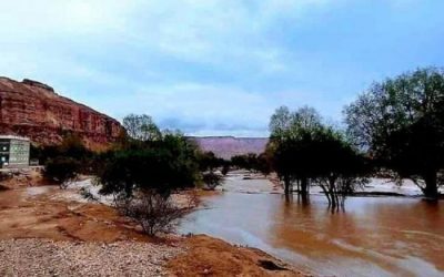 العثور على جثامين 4 مواطنين جرفتهم السيول بشبوة