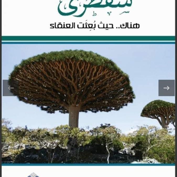 بشرى من سقطرى