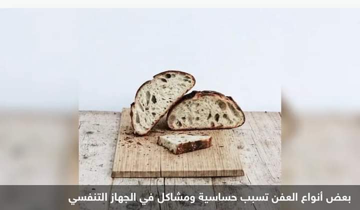 الخبز المتعفن “ولو جزئيا”.. مخاطر تفوق التوقعات بكثير